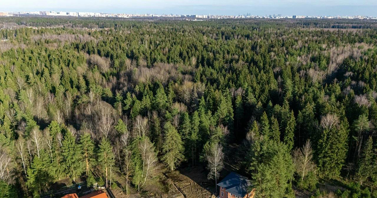 Фото 4 поселок Сходня Форест Парк