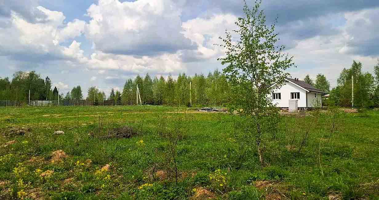 Фото 3 поселок Медведки