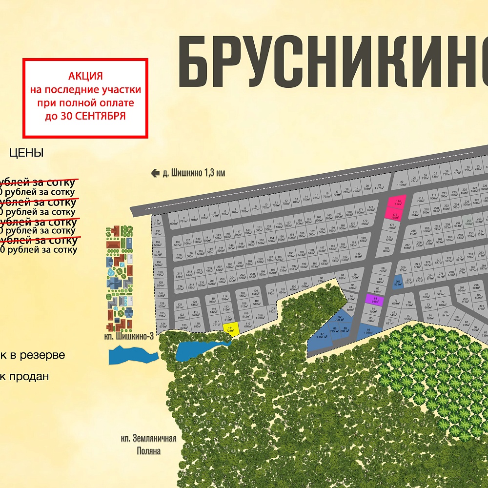 План поселка Брусникино