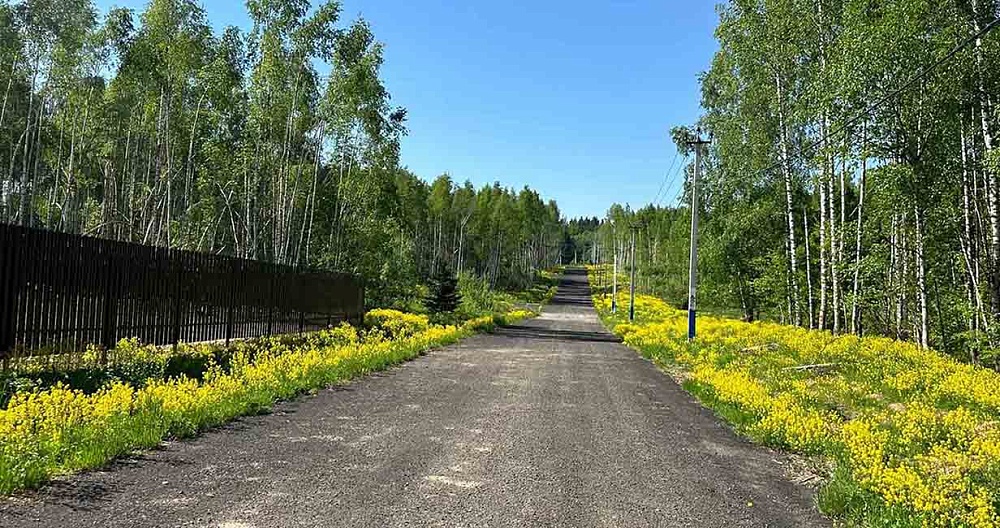 Фото коттеджный поселок Сбоево